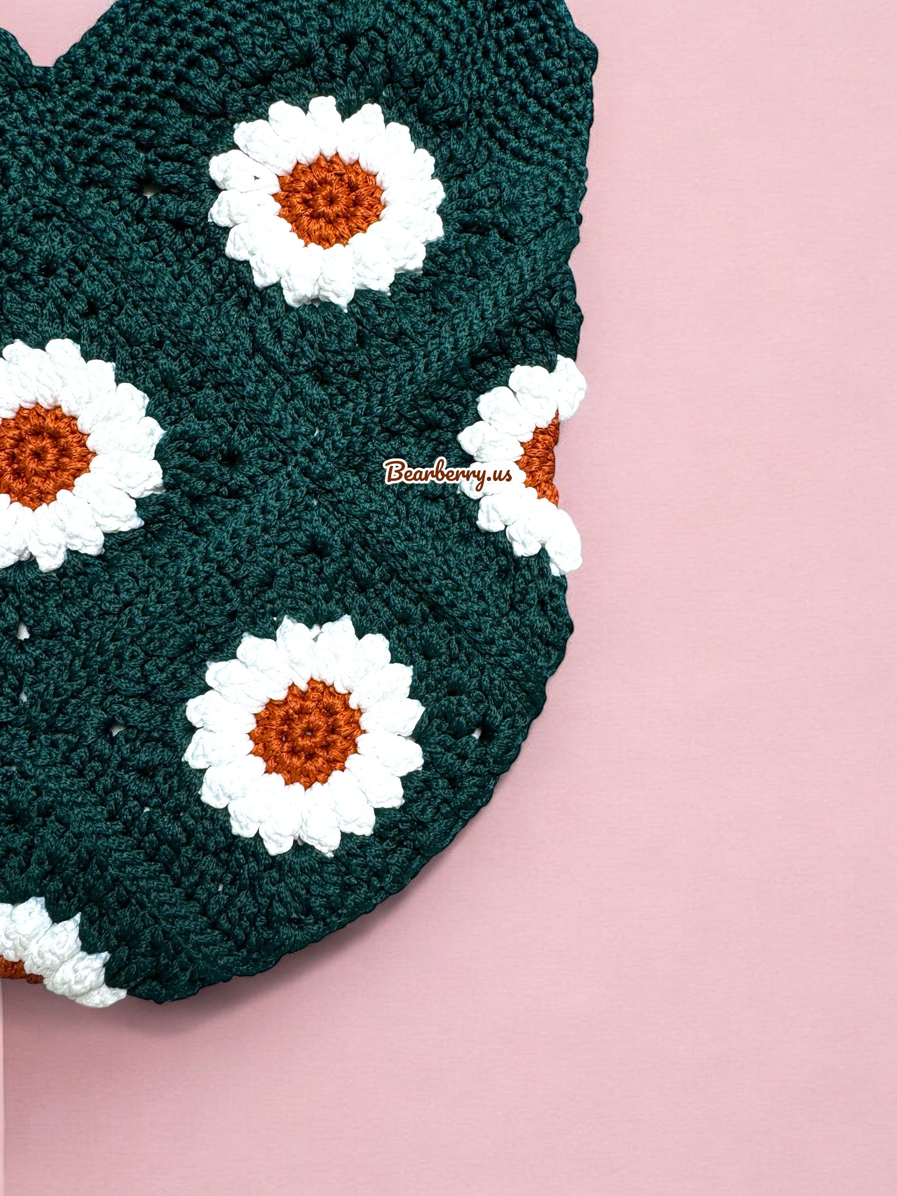 Giant Watermelon Turtle Crochet Animal