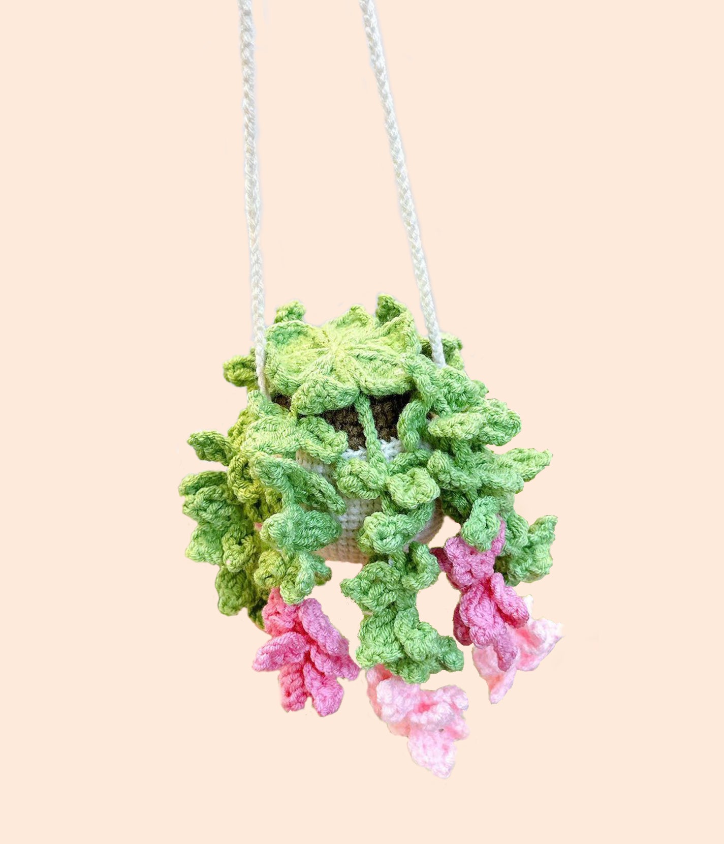 HANGING PLANT - WILLOW