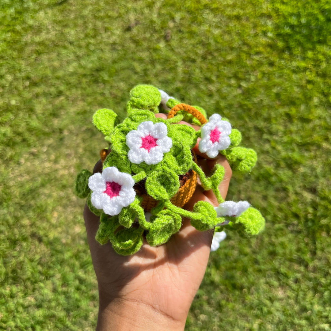 Hanging Potted Flowers