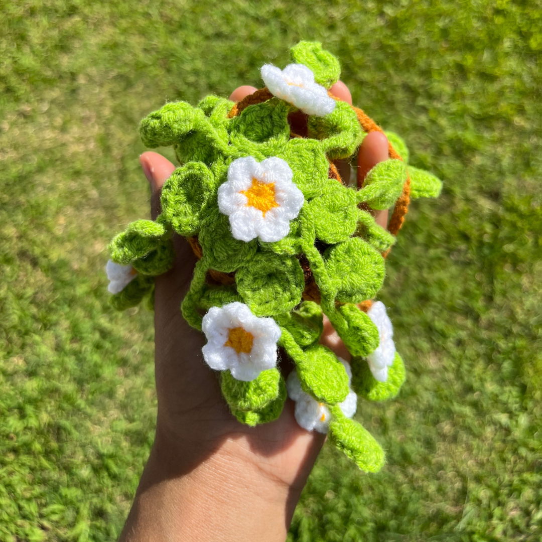 Hanging Potted Flowers