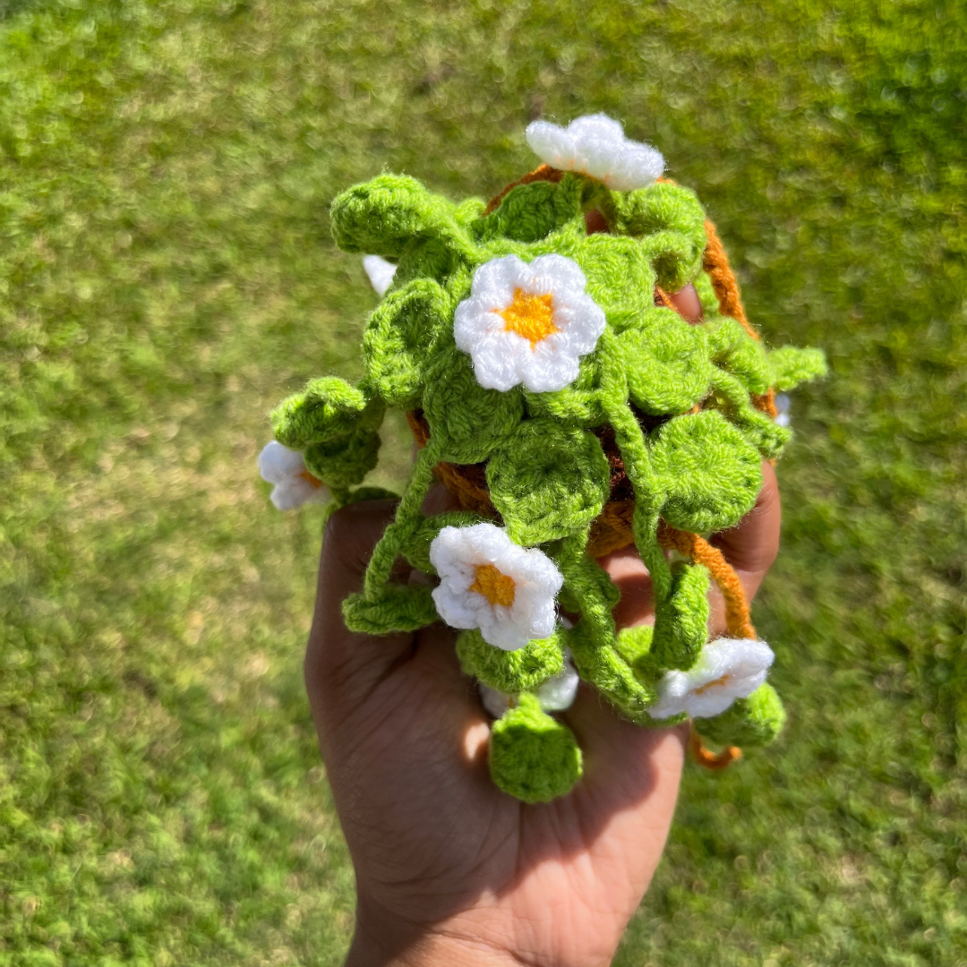 Hanging Potted Flowers