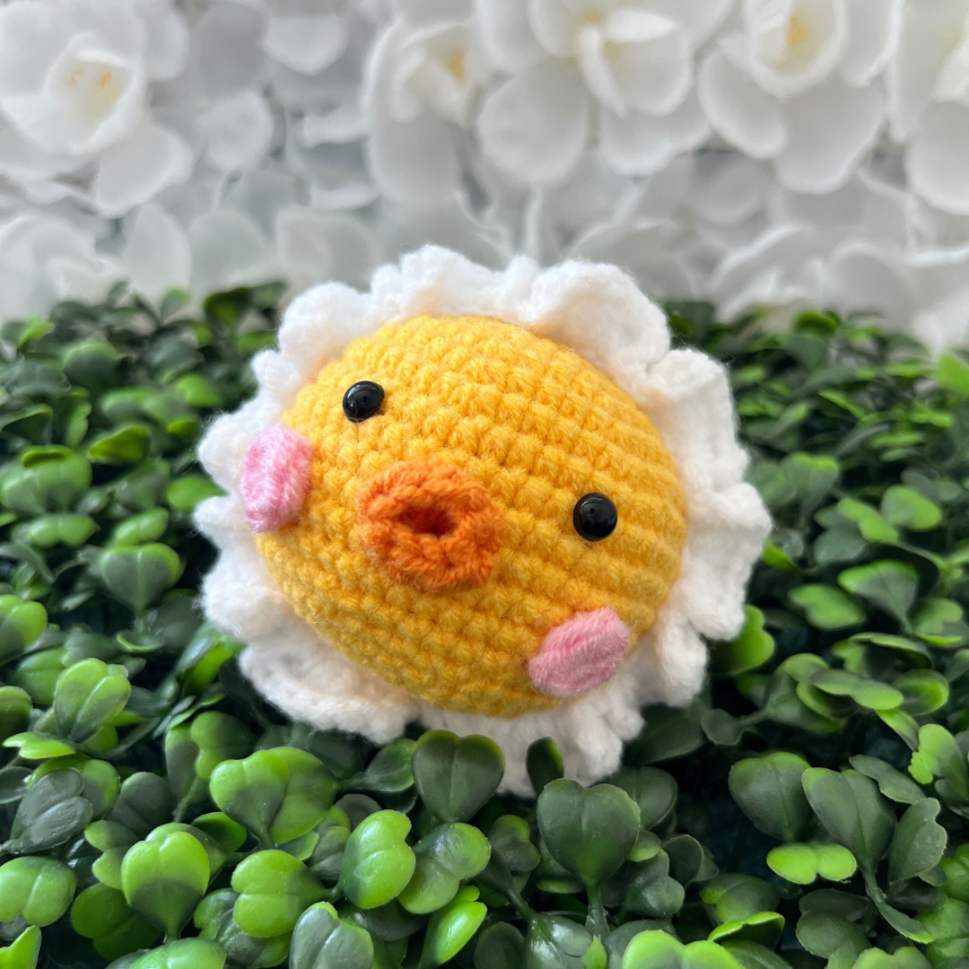 Ducky Sunshine