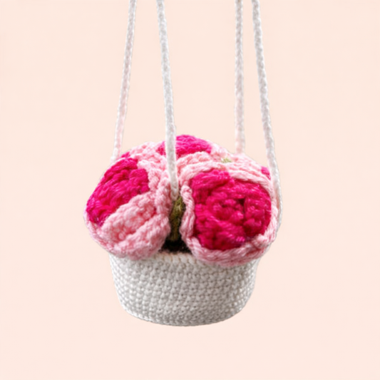 HANGING PLANT - BIG ROSE