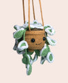 Hanging SUCCULENT