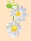 HANGING PLANT - 2 DAISY