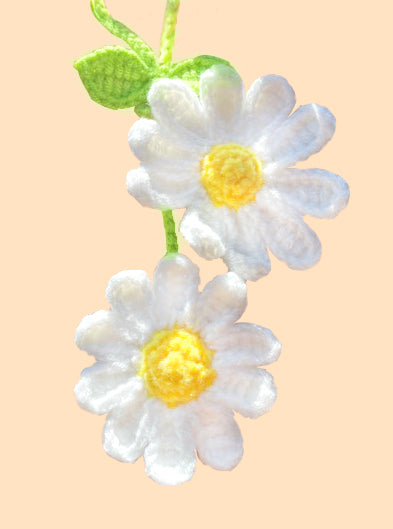 HANGING PLANT - 2 DAISY