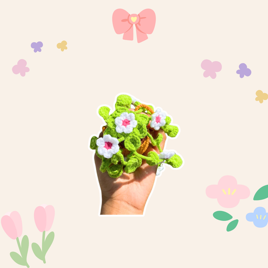 Hanging Potted Flowers