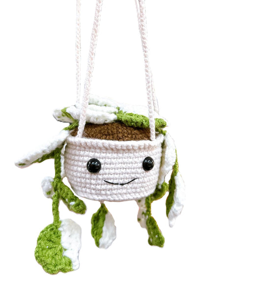 HANGING PLANT - HEART LEAVES