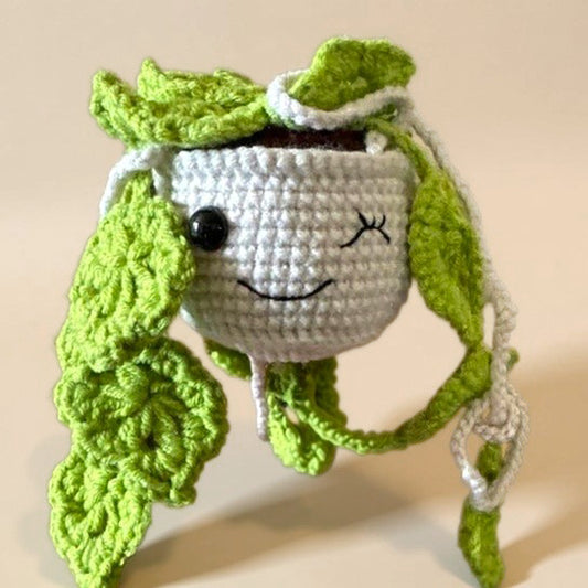 HANGING PLANT - HEART LEAVES