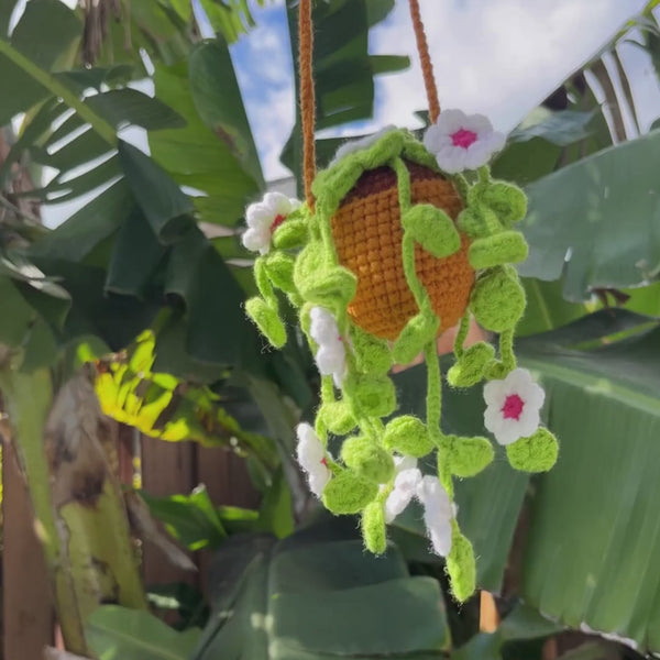 Hanging Potted Flowers